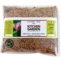 Kitchen Garden Red Clover Sprouting Seeds 50g